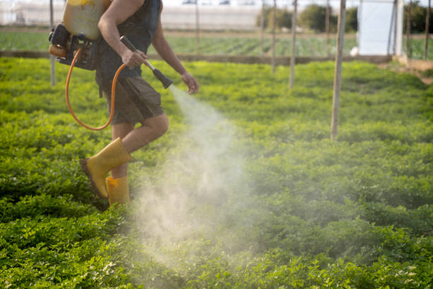 Best Wasp Removal Services  in Trion, GA