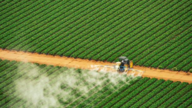 Best Ant Control Services  in Trion, GA