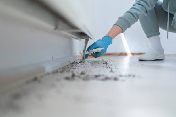 Best Best Pest Control Companies  in Trion, GA