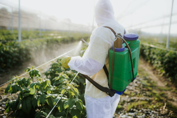 Best Exterminator Services  in Trion, GA